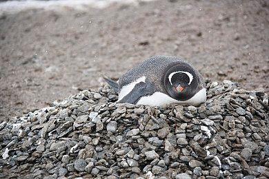 外挂肆虐 《星球大战：前线2》起死回生受阻